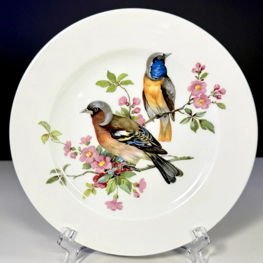 VTG Schumann Bavaria Song Bird Salad Plates Porcelain Arzberg Germany Set of 4